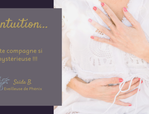 L’Intuition…cette compagne si mystérieuse !!!